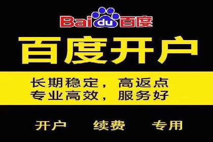 某电商平台的SEM广告投放策略及效果评估
